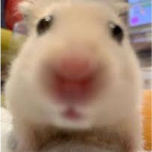 Meet your Posher, Amagi